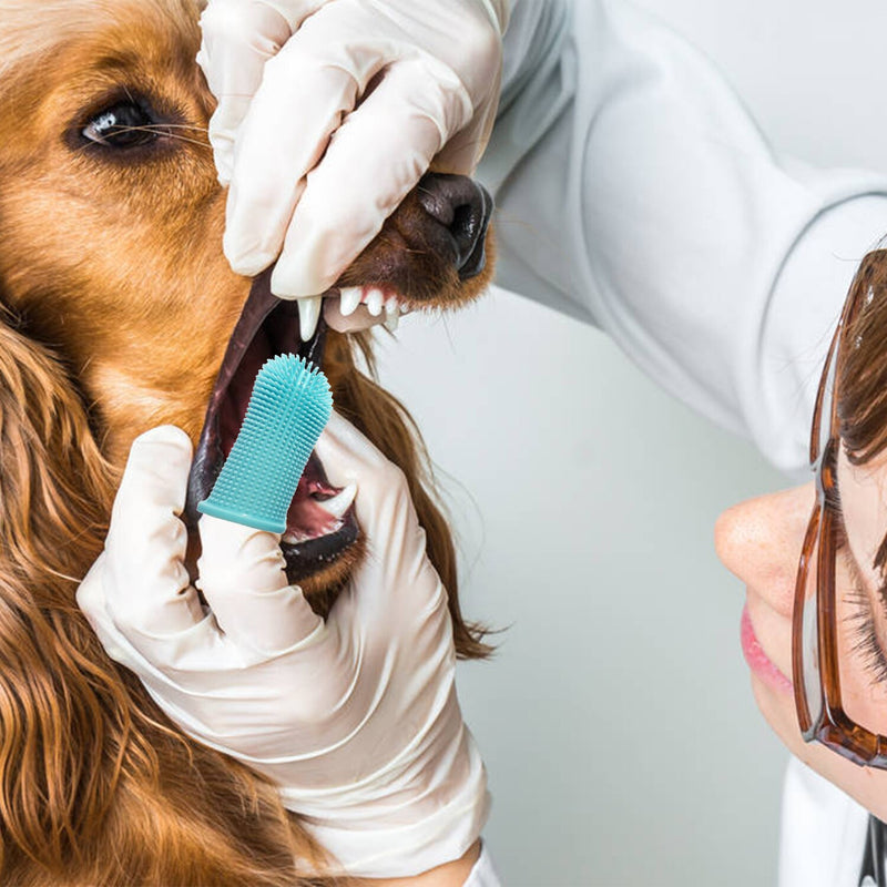 Escova De Dentes Pet Em Silicone | Para Cães  (2uni)
